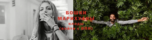 соль ск Бородино