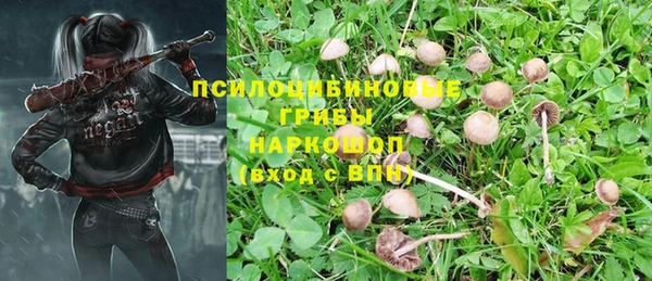 герыч Бугульма
